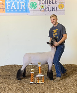 Junk Club Lambs Winners