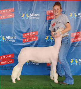 Junk Club Lambs Winners